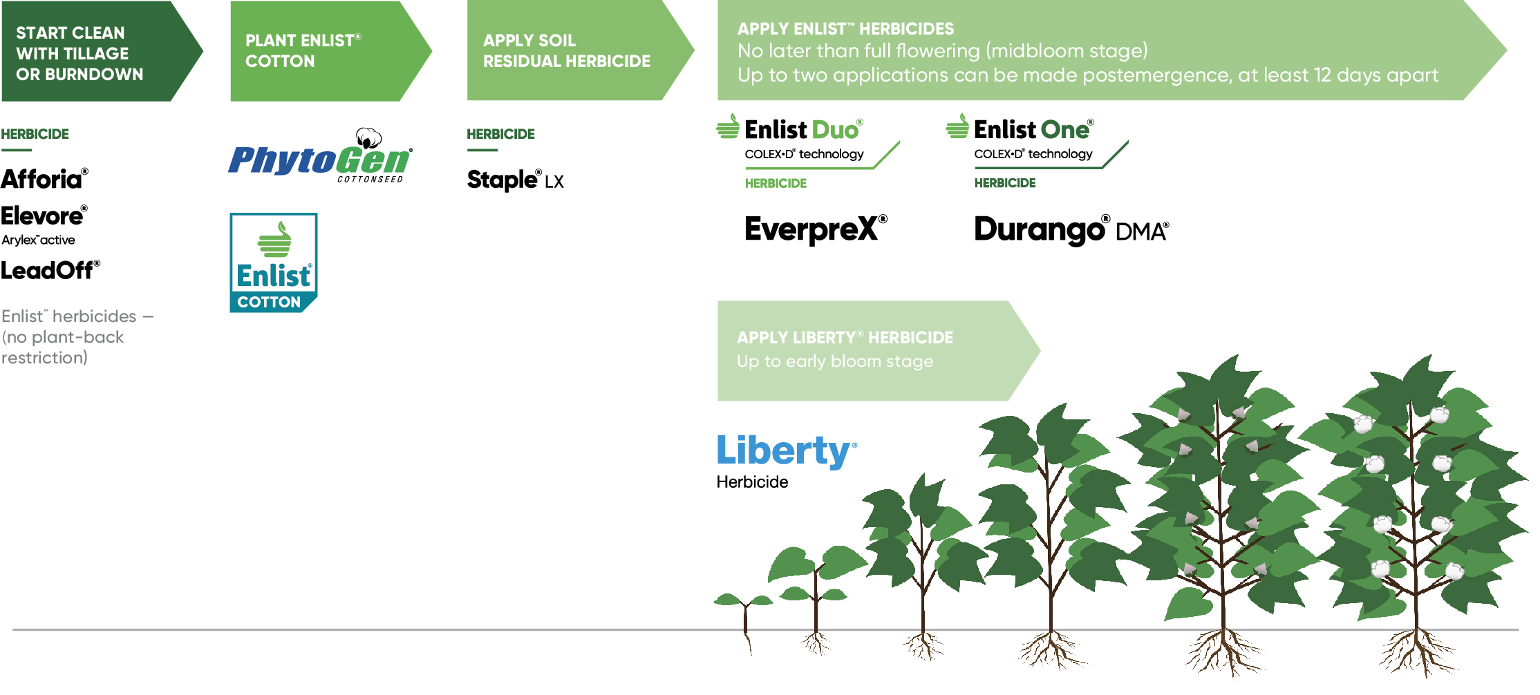 Herbicides Enlist™ weed control system