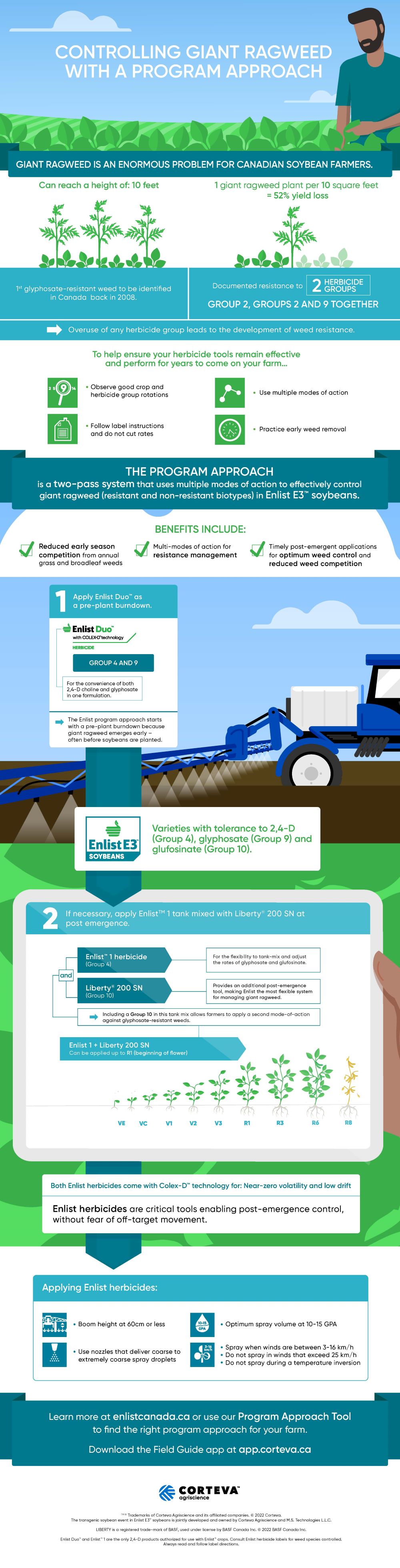 Controlling giant ragweed infographic