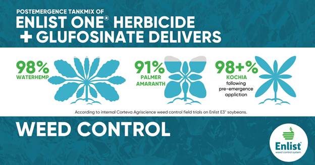 A blue and white banner with green and white flowers
AI-generated content may be incorrect.