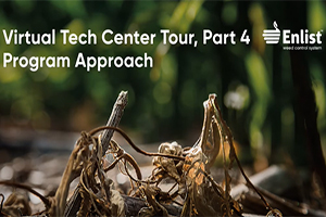 Part 4: Program Approach